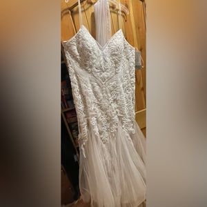 Size 21/22 Wedding Dress And Veil